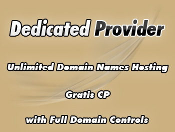 Moderately priced dedicated servers packages