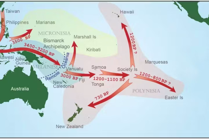 But linguists had found little evidence about where precisely the migration started and which Indigenous group was involved in the expansion.